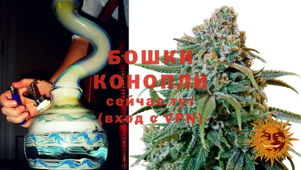 молекула духа Белокуриха