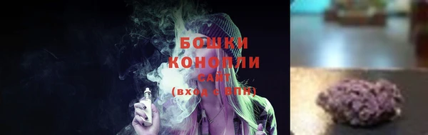 молекула духа Белокуриха