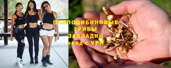 молекула духа Белокуриха